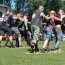 PLANINKA 2014 VYBER