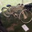 Eurobikefest